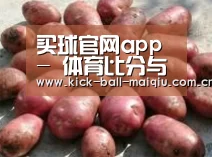 产品展示标题5(图1)